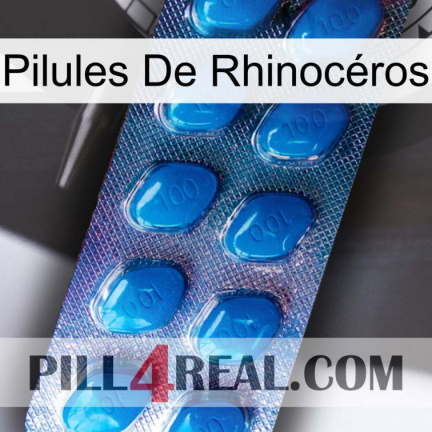 Pilules De Rhinocéros viagra1